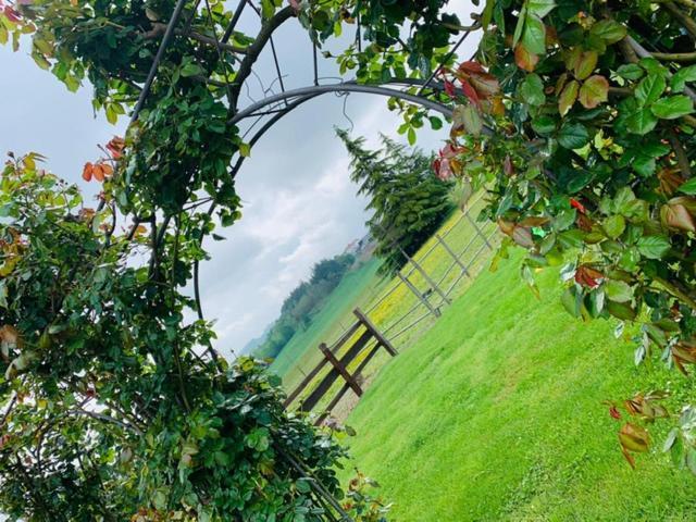 Agriturismo Cascina Smeralda Villa Pontestura ภายนอก รูปภาพ