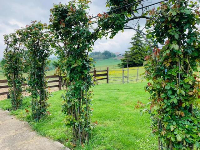 Agriturismo Cascina Smeralda Villa Pontestura ภายนอก รูปภาพ
